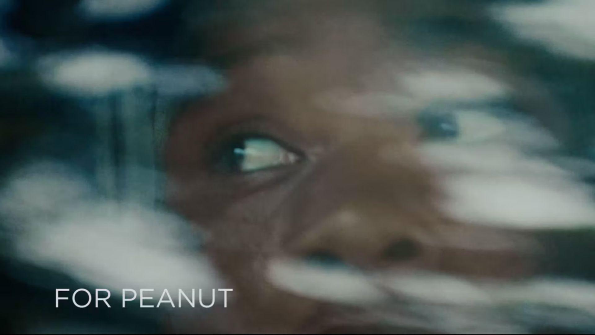 For Peanut